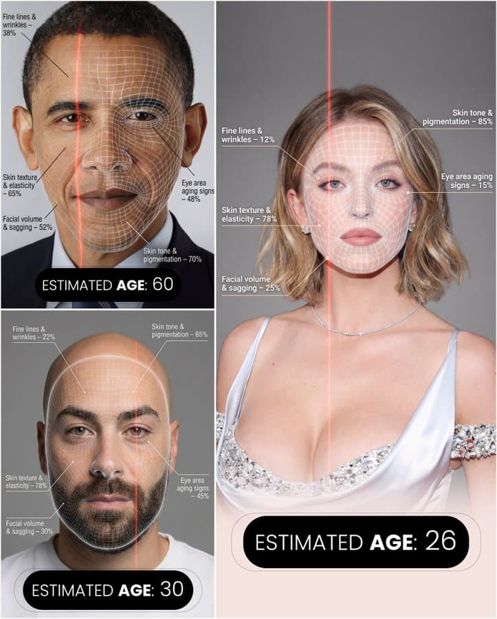Nano Banana age checker portrait infographic